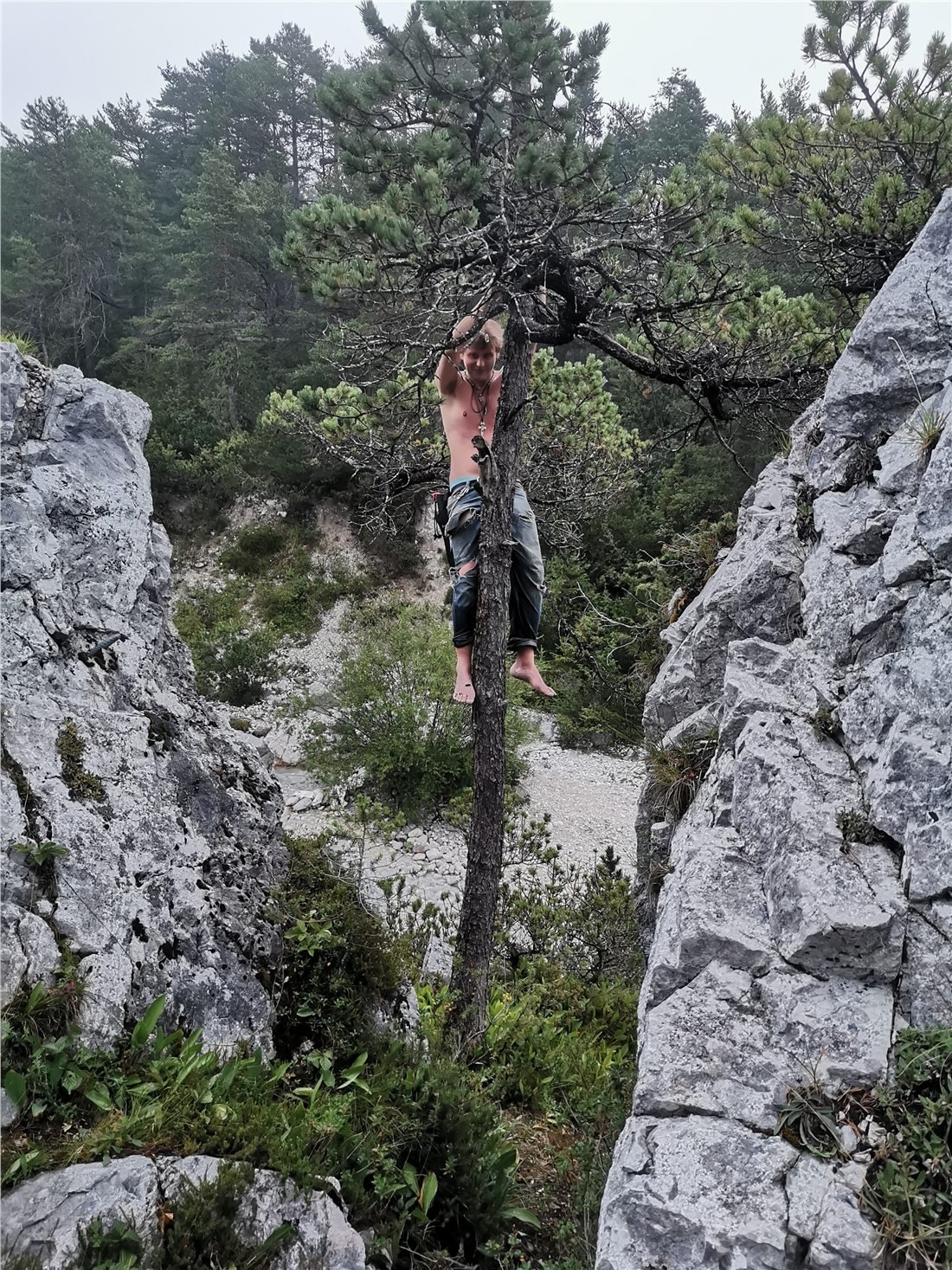 Naturmoment beim Holla-Fest